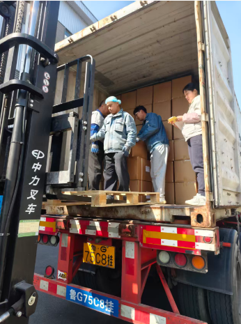 Quality and on-time delivery guaranteed, service never stops!